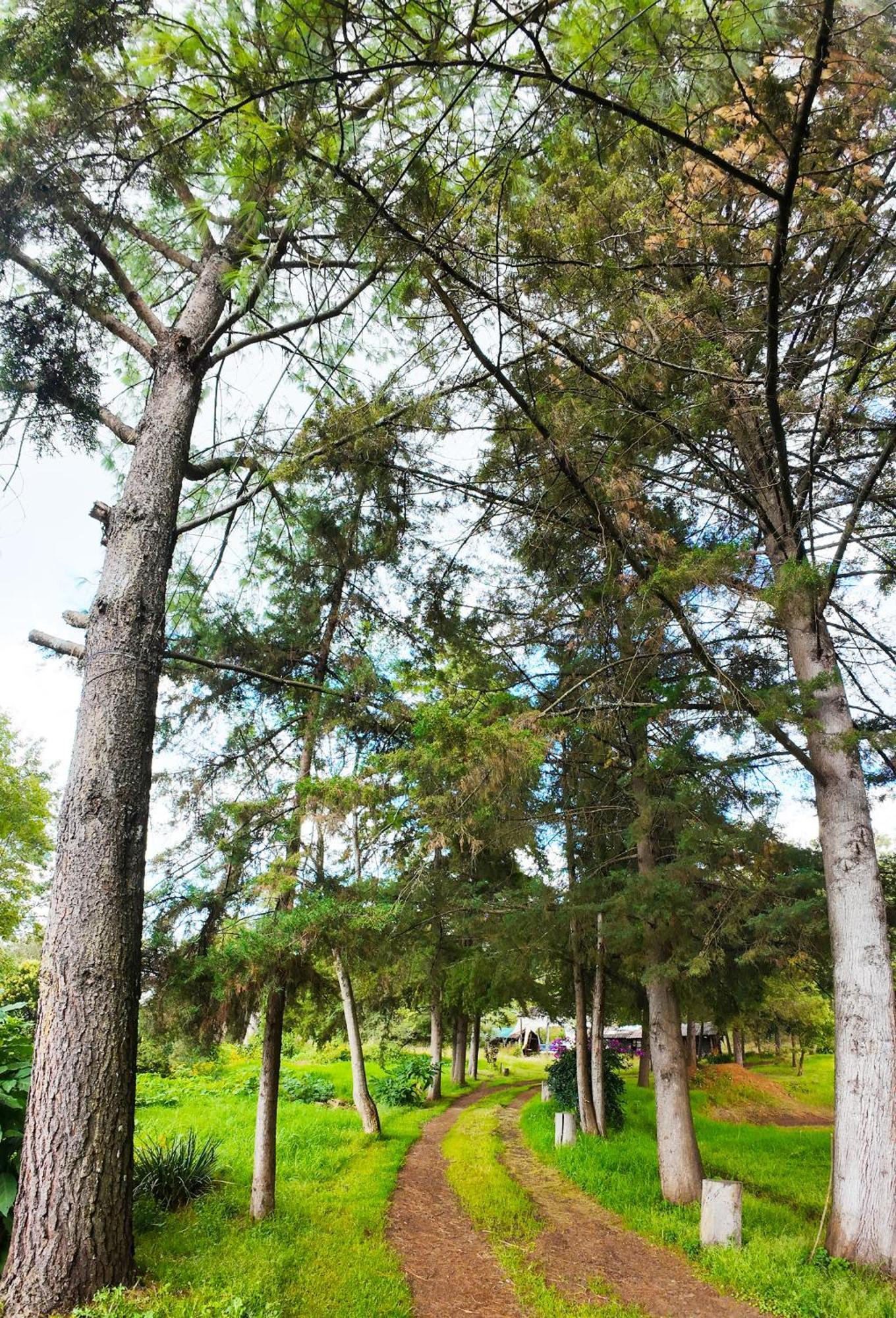 Villa Patzcuaro Garden Hotel מראה חיצוני תמונה